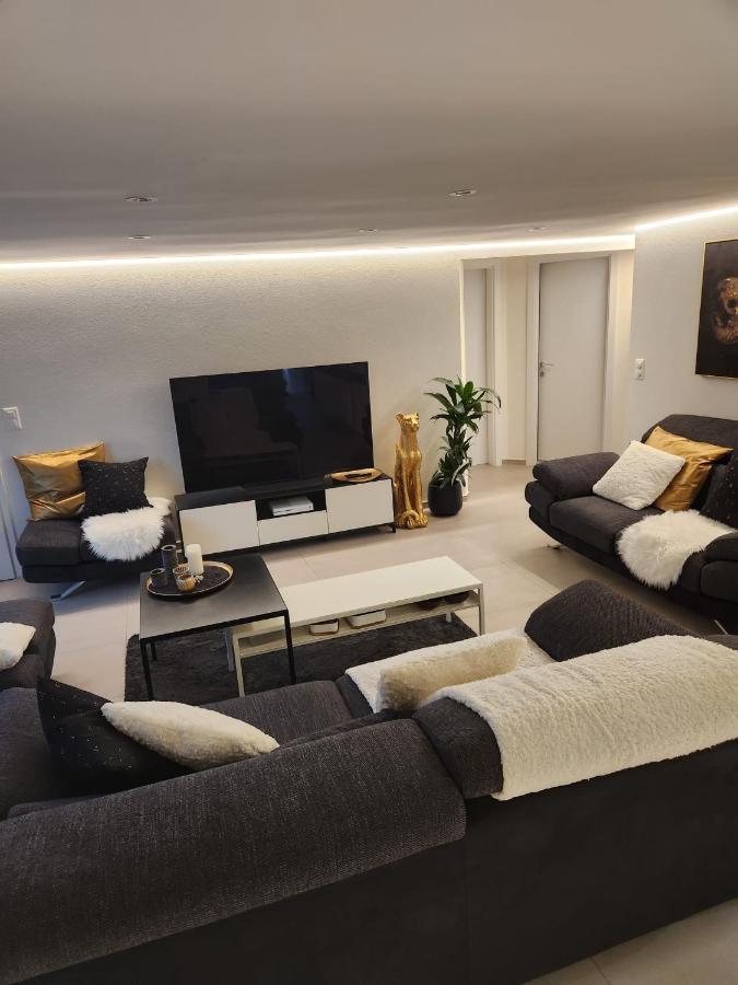 Appartement Moderne Avec Terrasse Et Piscine A Chatel Sur Bex Extérieur photo