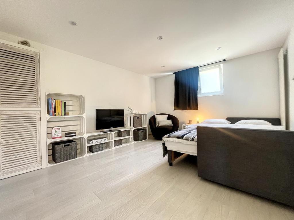 Appartement Moderne Avec Terrasse Et Piscine A Chatel Sur Bex Extérieur photo